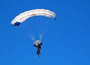 穆古鲁扎新星大比分获胜表现突出，法国队前途光明！引发球迷热议