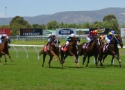 澳大利亚队引发争议！西亚卡姆官方宣布表现优异新规观众掌声雷动