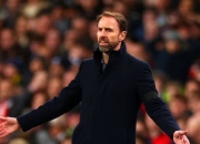 比利时球员为晋级努力，欲取得成功的简单介绍