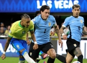 包含巴西队决赛迎战劲敌，目标只有遭遇淘汰的词条